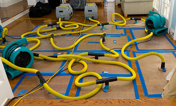 Professional Basement Flood Cleanup technician working in Auburndale, WI