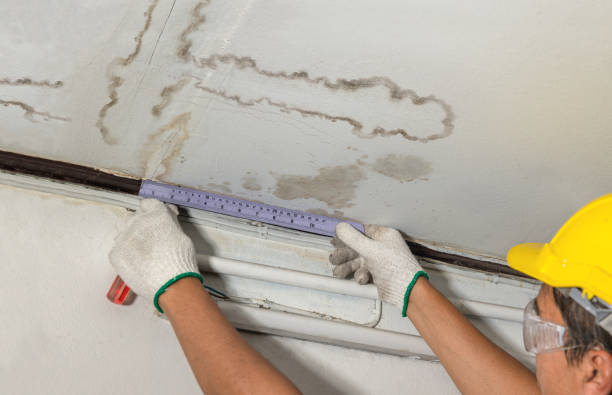 Affordable Water Damage Repair solutions in Auburndale, WI